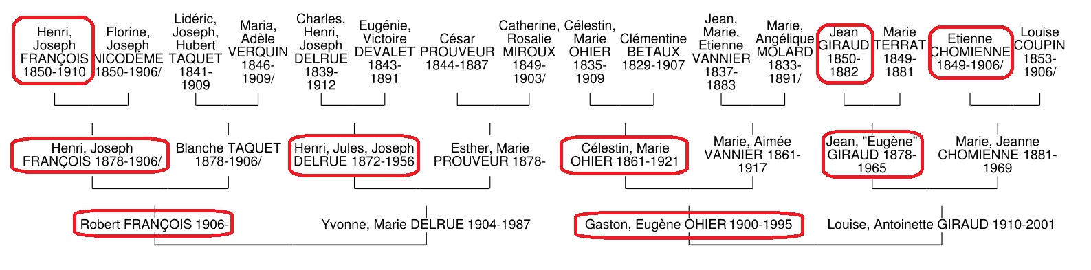 M matricule arbre