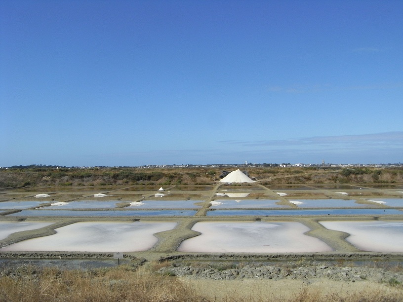 Marais salants, et au fond : le bourg de Batz Marais salants, et au fond : le bourg de Batz