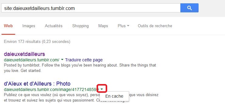 tumblr cache google1